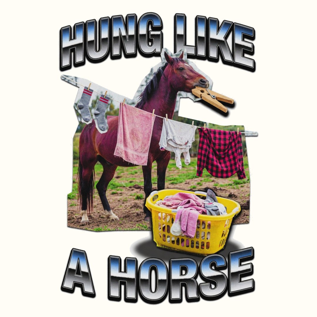 Hung Like A Horse